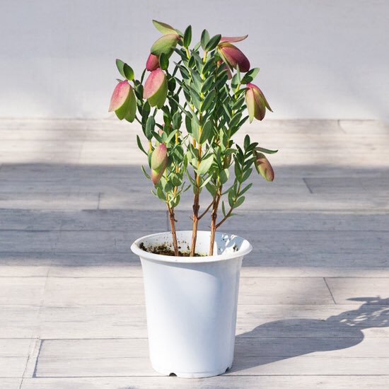 Se Lifeeco01s Tweet Pa Twitter Twitter Se Lifeeco01s Tweet Pa Twitter Twitter