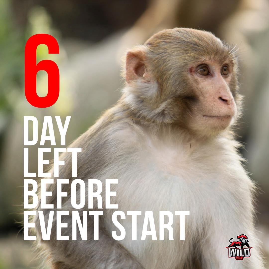 wildrunutm's tweet image. 6 days leftt!!😥😥