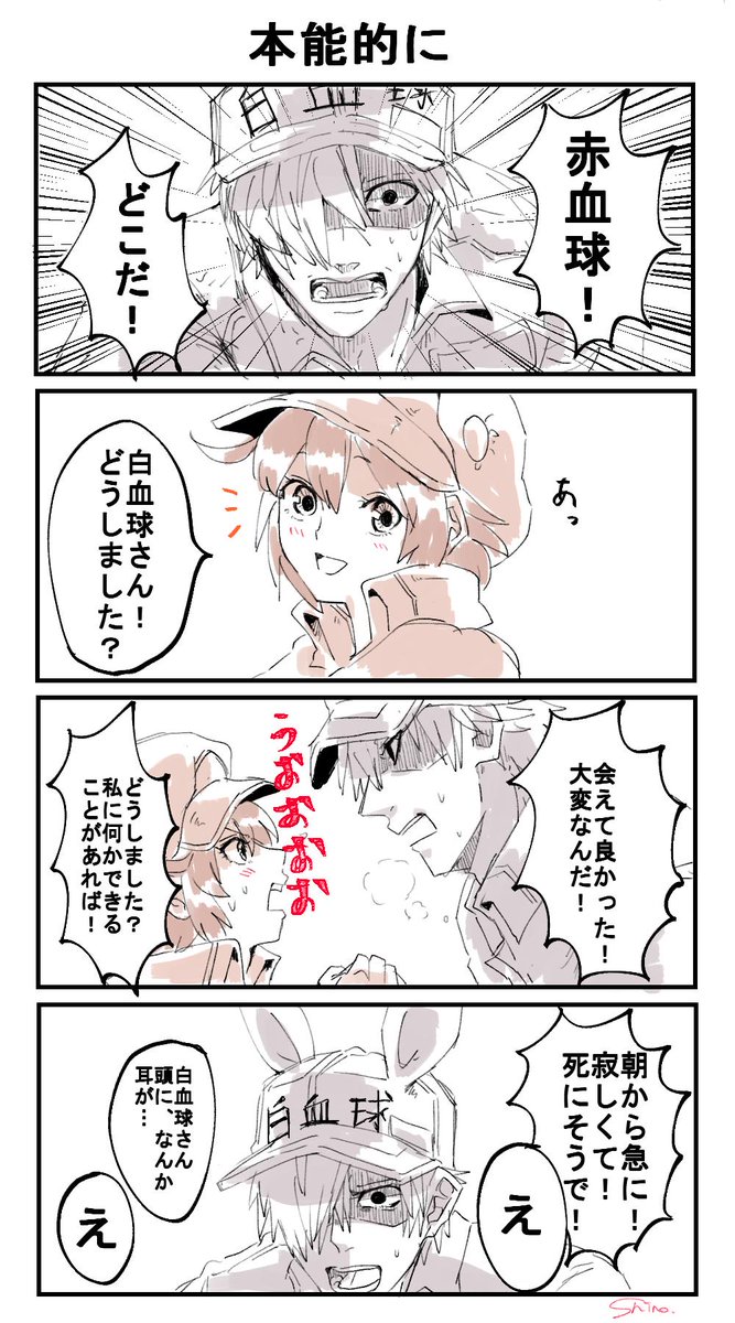 はたらく細胞まとめ はたらく細胞まとめ