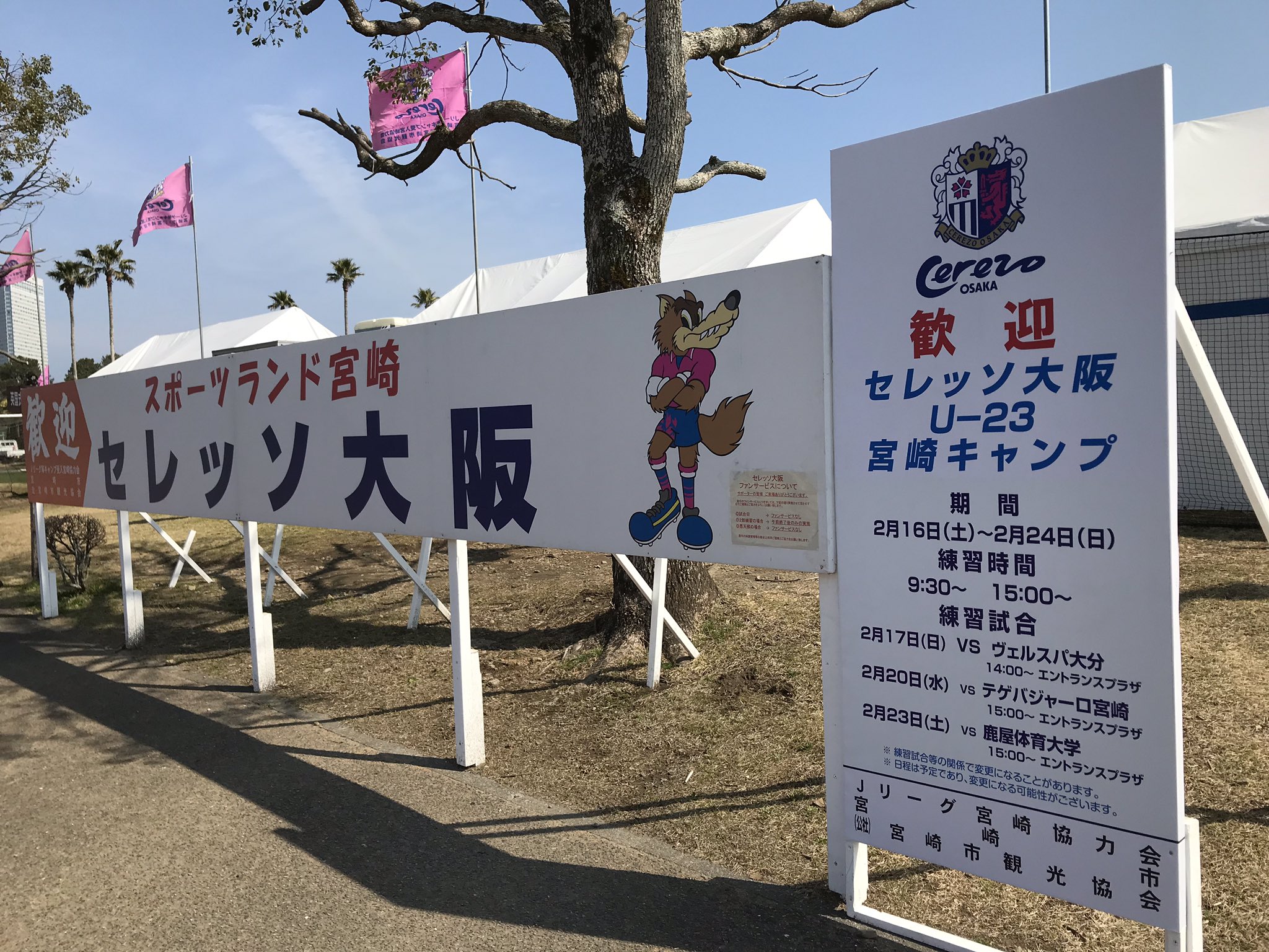 ヴェルスパ大分 宮崎キャンプ最終日 セレッソ大阪 U 23 さんとtrmです ヴェルスパ大分 Jfl