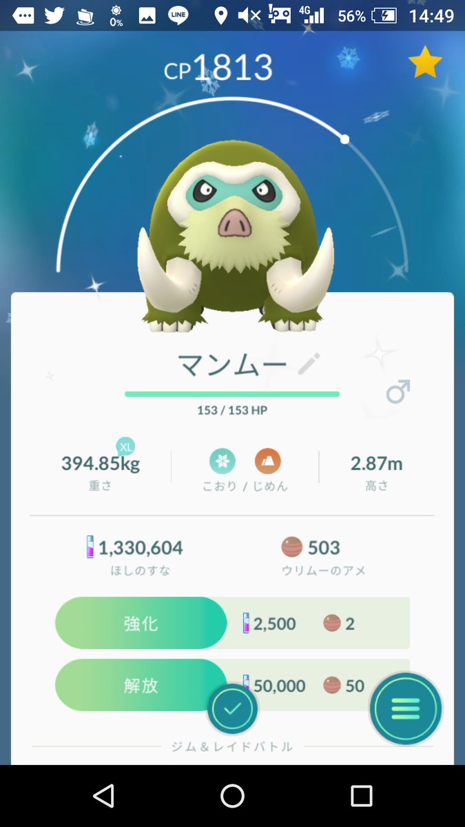 マンムー Recherche Sur Twitter