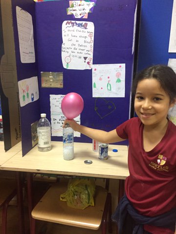 Grade 3 | Raffles World Academy tweet media