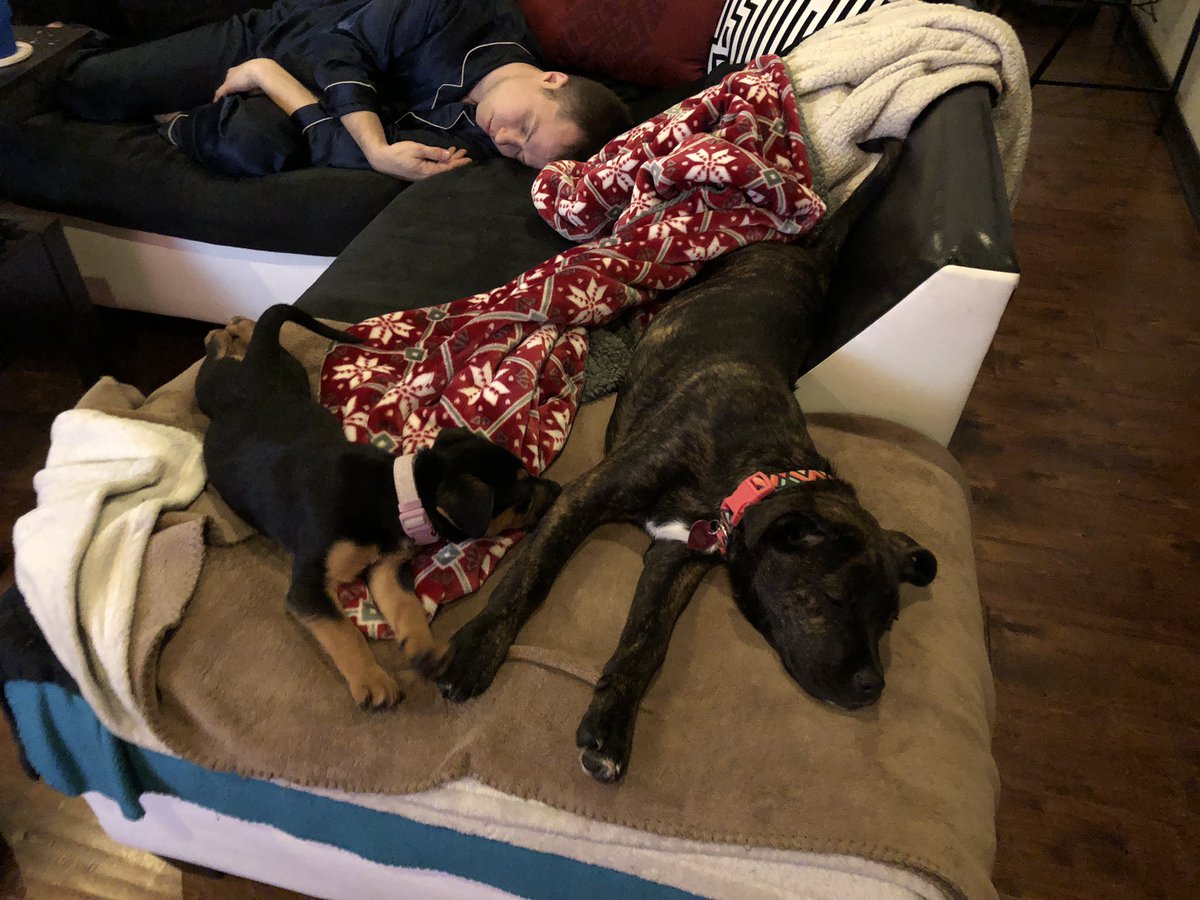 TheMattStout's tweet photo. I have a sleeping #MattieMcStout #MattherMcStout (#LittleMatts) and #OtherMatt!!!
I think they are all happy! ๐
#ThisIsLife ๐ค https://t.co/xaOZaytnCf