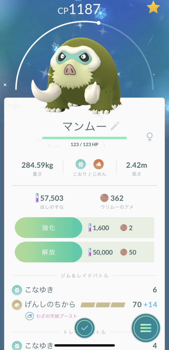 色違いマンムー Twitter Search 色違いマンムー Twitter Search