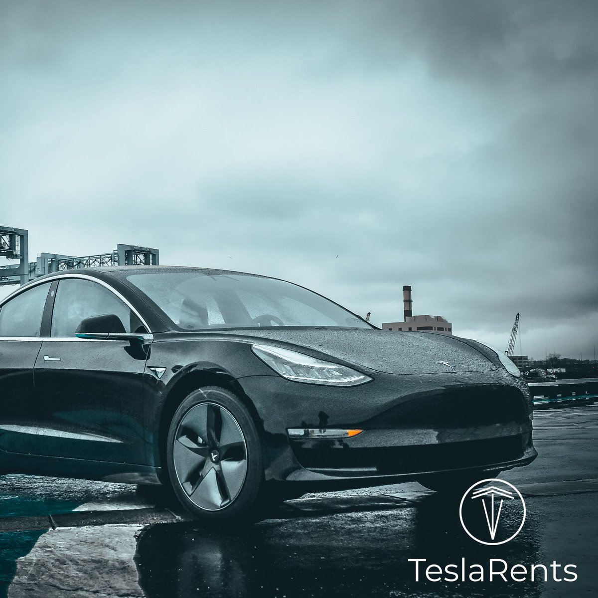 Teslarents At Teslarents Twitter