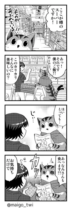 ねこまたのなりかけ、おさしみが食べたい(2/3) 