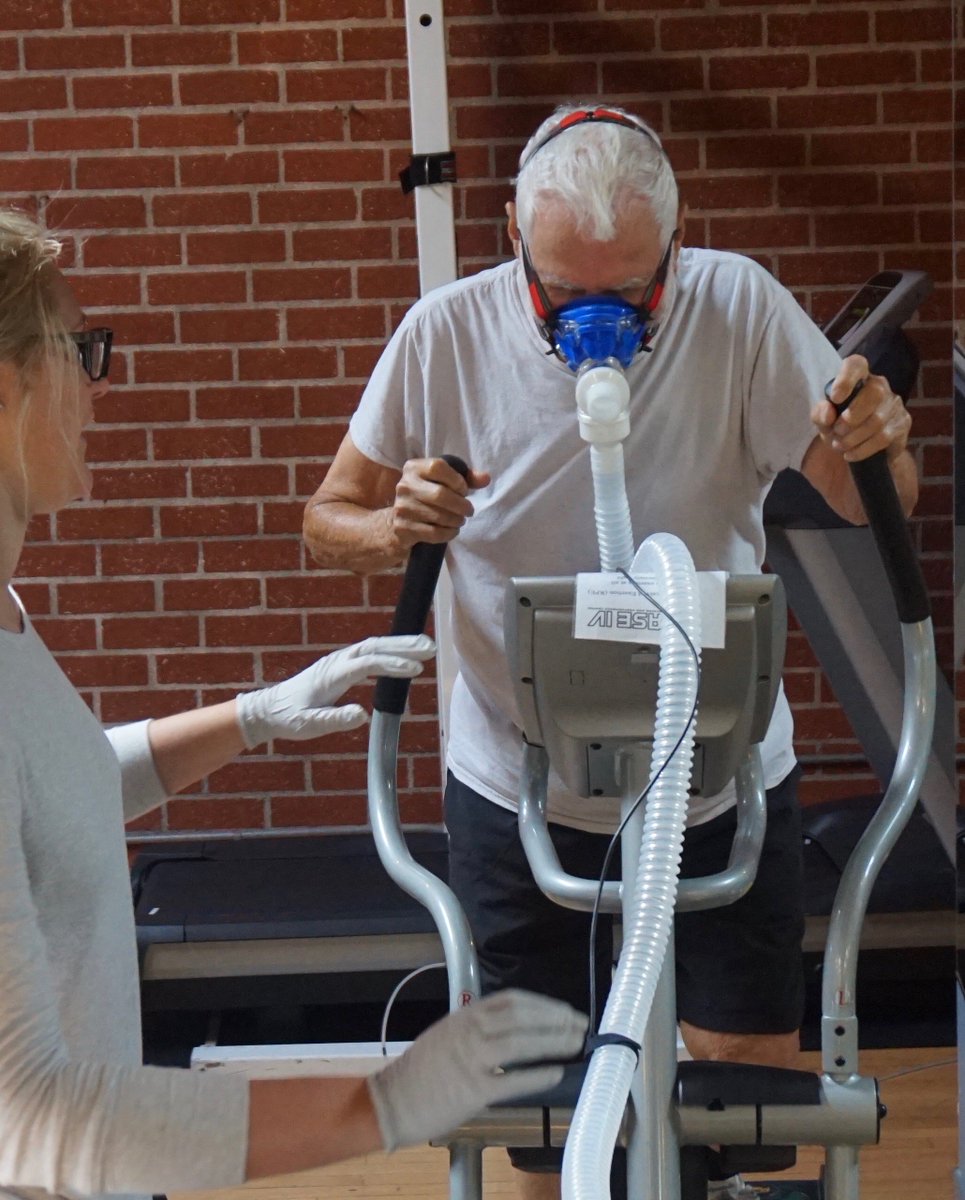 roywallack tweet media