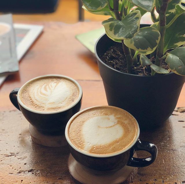 Of course, a visit to the local coffee shop is a must! ☕️☕️ #wwf2019 #coffeeshop #gatheringcoffee #coconutlatte #microroastery #gatheringgrounds #oregoncoffee #klamathfalls #winterwingsfestival #coffeeshot #localcafe #coffeetime☕ #latteart #ggroastery bit.ly/2DPCgJ3