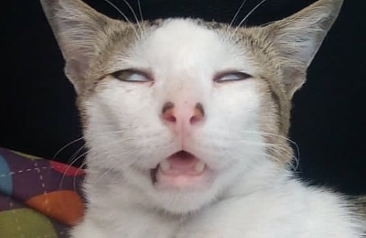 #terimakasihmantan Berkar Kamu aku Sadar. Kalau foto bareng jangan terlalu nempel. Nanti susah di Crop.