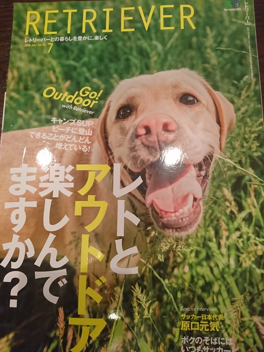 bunnytheflat's tweet photo. 恥ずかしいので発表してませんでしたが、昨年グレースとの諸々の探検活動が雑誌RETRIEVERのある方に評価していただき、取材していただいたものが、2018年7月号に掲載されています。
滝巡り、廃線探索のルーツも先代犬バニーとの活動にあることを記録にできて、感慨深かったです。 https://t.co/lIYcHJYgu7