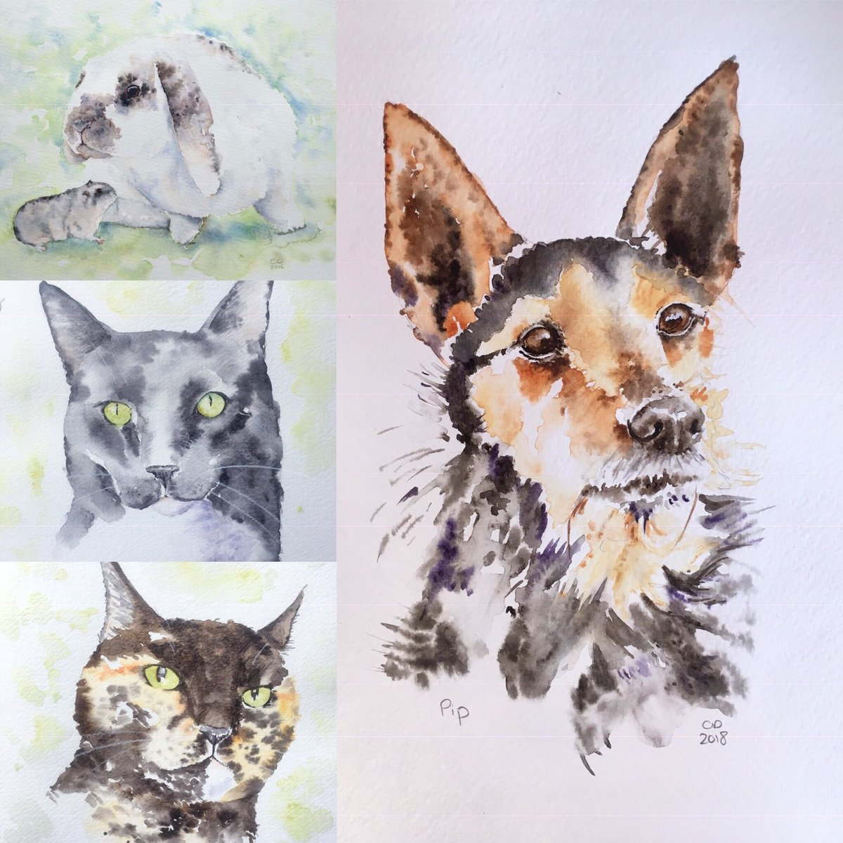 chrisdobbinart's tweet photo. Here is a little combo of some past pet portrait commissions. You can view more of my work at https://t.co/TMeflt3BzN #petportraits #dogportrait #portraitcommission #catportrait #rabbitportrait #watercolourportraits https://t.co/I2K0wYl6N5