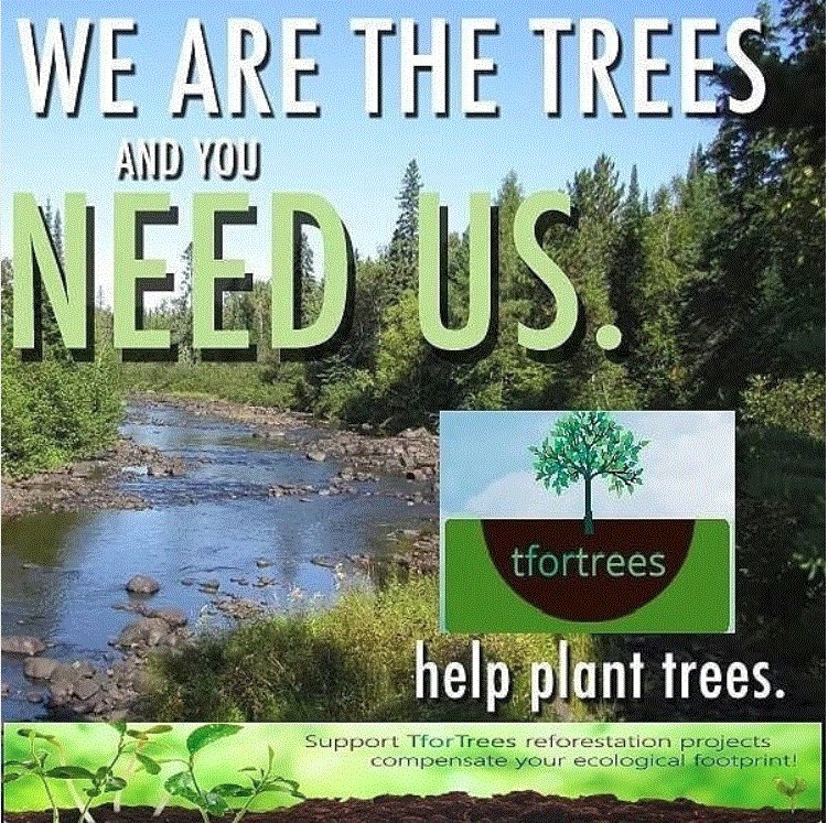 jttdmd's tweet image. RT #reforestation #NewGreenDeal #Tfor trees  Let us support efforts.  #TforTrees is on a mission to plant 10 Bln trees.  Contracts in place.  Partner with us.