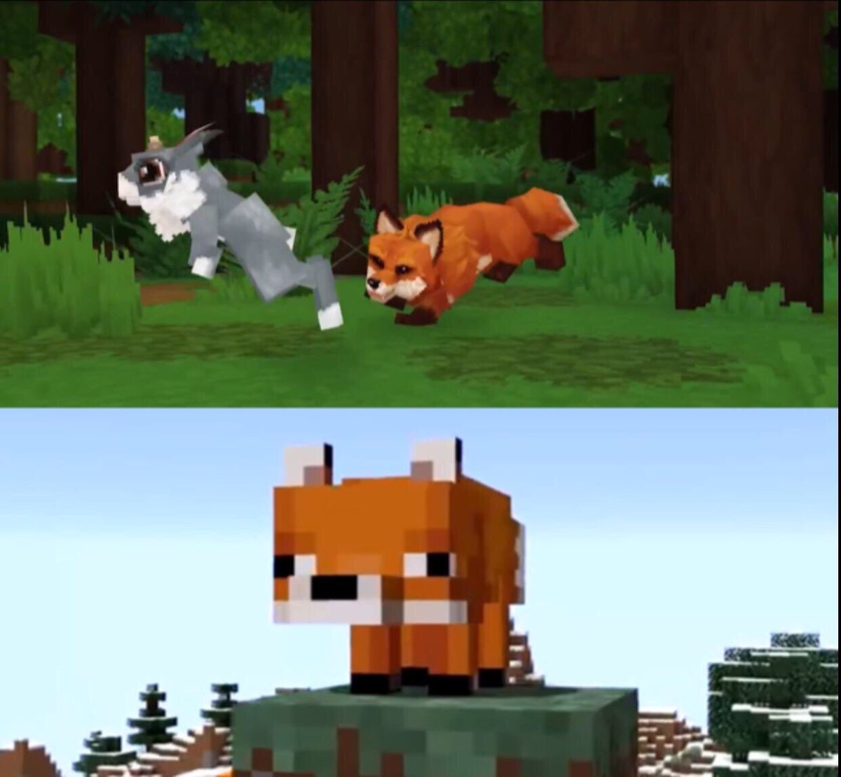 Lars Ich Finde Den Fuchs Suss