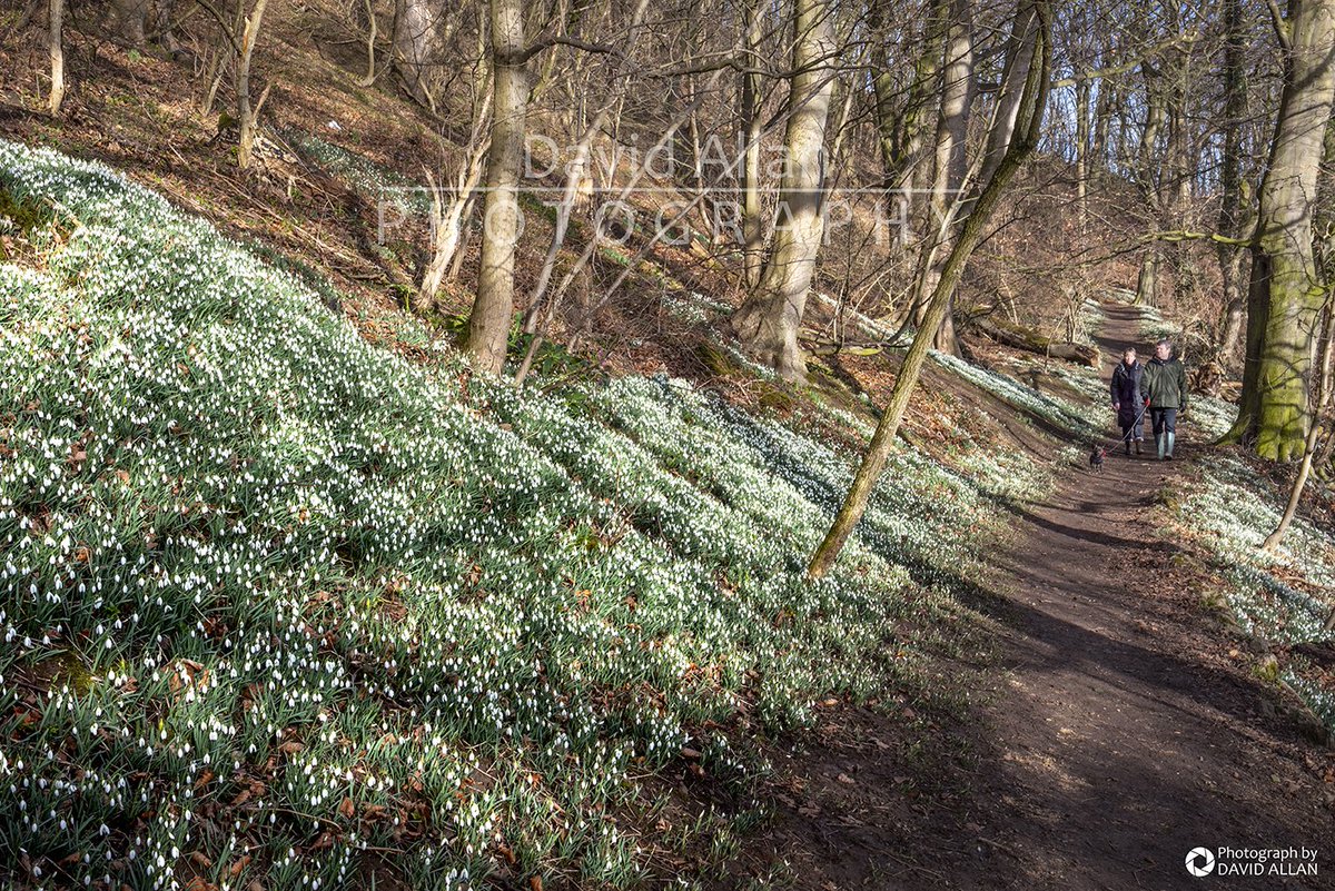 David Allan (@davidm_allan) on Twitter photo Really enjoying this early taste of Spring, a chance to get out and about and feel the power of the sun once again. What a week it's been! <a href="/NorthernEngland/">North of England</a> <a href="/liveforthehills/">Live For The Hills</a> <a href="/StormHour/">#StormHour</a> <a href="/VisitEngland/">VisitEngland</a> <a href="/VisitBritainPR/">VisitBritain PR</a> <a href="/VisitNland/">Visit Northumberland</a> <a href="/ThisisDurham/">This is Durham</a> <a href="/nationaltrust/">National Trust</a> <a href="/EnglishHeritage/">English Heritage</a> Really enjoying this early taste of Spring, a chance to get out and about and feel the power of the sun once again. What a week it's been! <a href="/NorthernEngland/">North of England</a> <a href="/liveforthehills/">Live For The Hills</a> <a href="/StormHour/">#StormHour</a> <a href="/VisitEngland/">VisitEngland</a> <a href="/VisitBritainPR/">VisitBritain PR</a> <a href="/VisitNland/">Visit Northumberland</a> <a href="/ThisisDurham/">This is Durham</a> <a href="/nationaltrust/">National Trust</a> <a href="/EnglishHeritage/">English Heritage</a>
