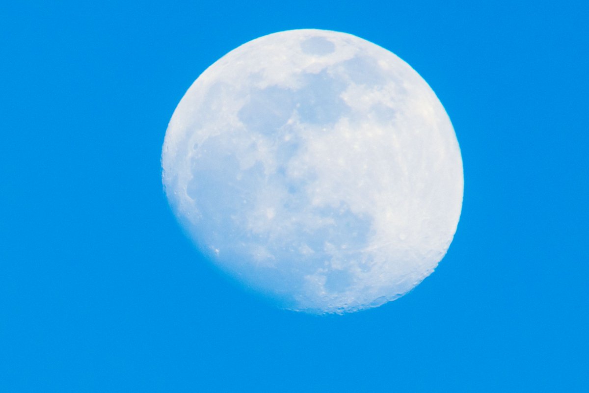 takehanaMe's tweet photo. 月
2019-2-17 17:03
方位角(°)82.9098
東
高度(°)26.5548
Nikon D810 + TC201 + 80-400
#moon #月 #Nkon #D810 #TC201 https://t.co/LvAJzuBfWA