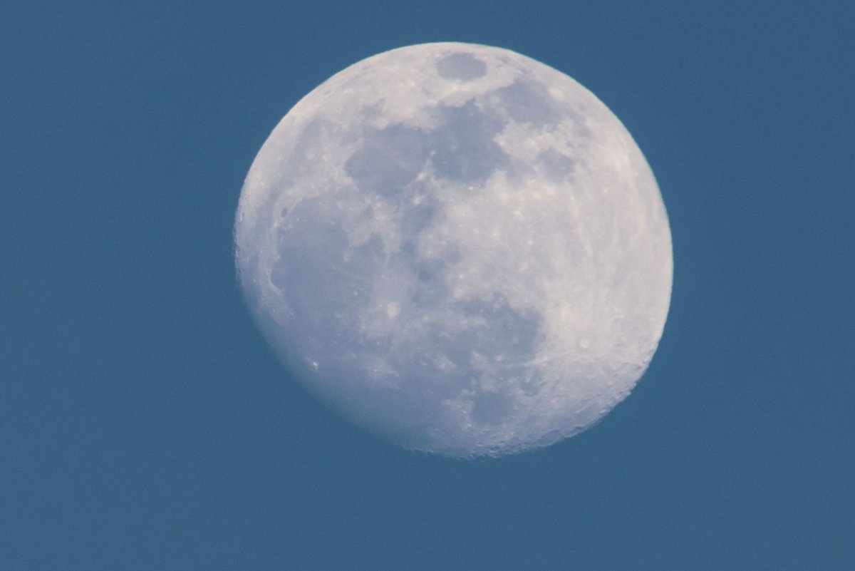 takehanaMe's tweet photo. 月
2019-2-17 17:03
方位角(°)82.9098
東
高度(°)26.5548
Nikon D810 + TC201 + 80-400
#moon #月 #Nkon #D810 #TC201 https://t.co/LvAJzuBfWA