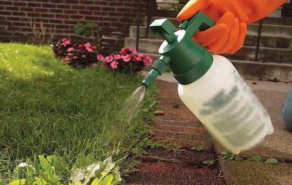 Garden Pest мощнейшее против сорняков в Кирове
