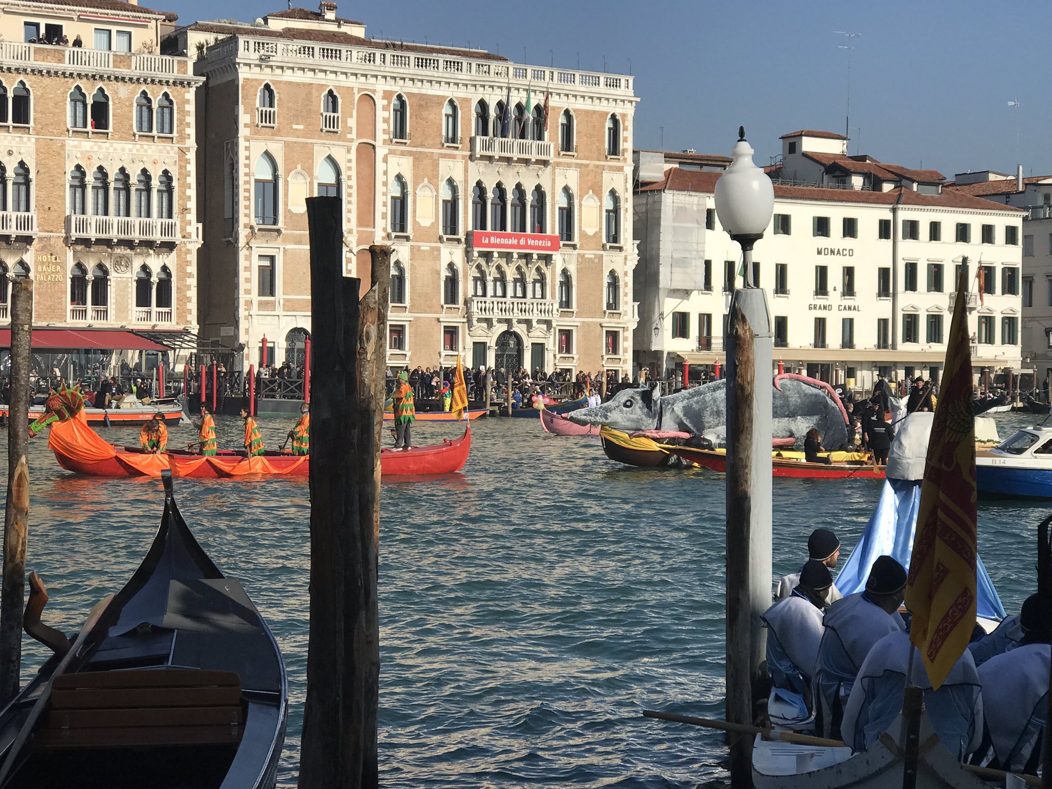 Clare Parsons It S All Happening In Venice This Morning Gathering For Venicecarnival19 T Co Ztziuetxdt Twitter
