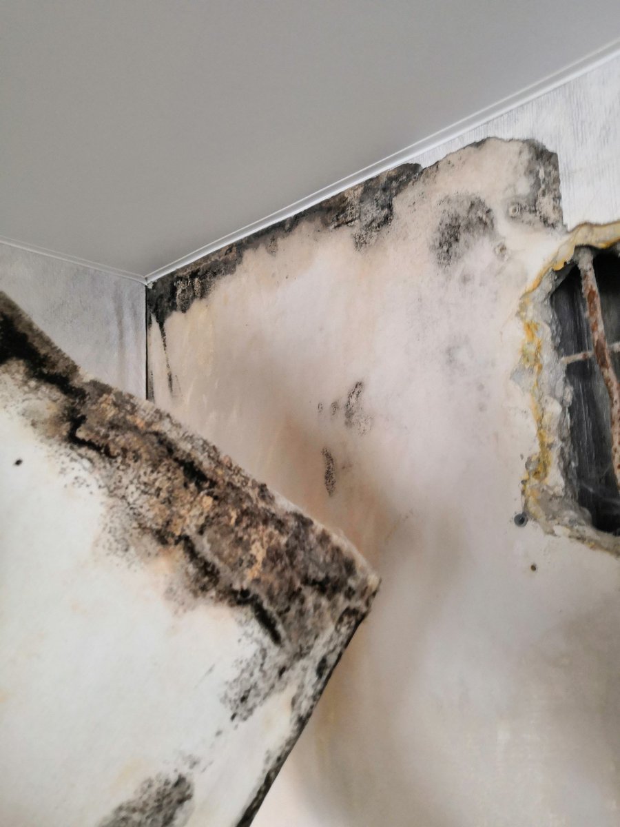 Dmitry Pyataev tweet media