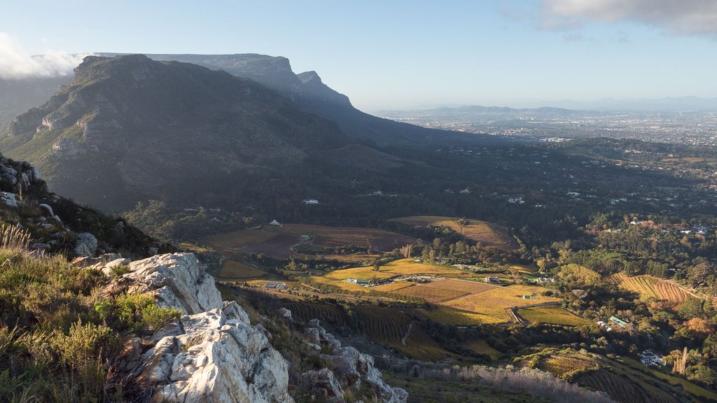 CONSTANTIA GLEN
A view from above of the stately @ConstantiaGlen wine farm. The first grapes were planted in 2000 on this family farm producing well-awarded wines. Wine tastings are offered daily together with an array of dishes for a world-class experience. #loveconstantia