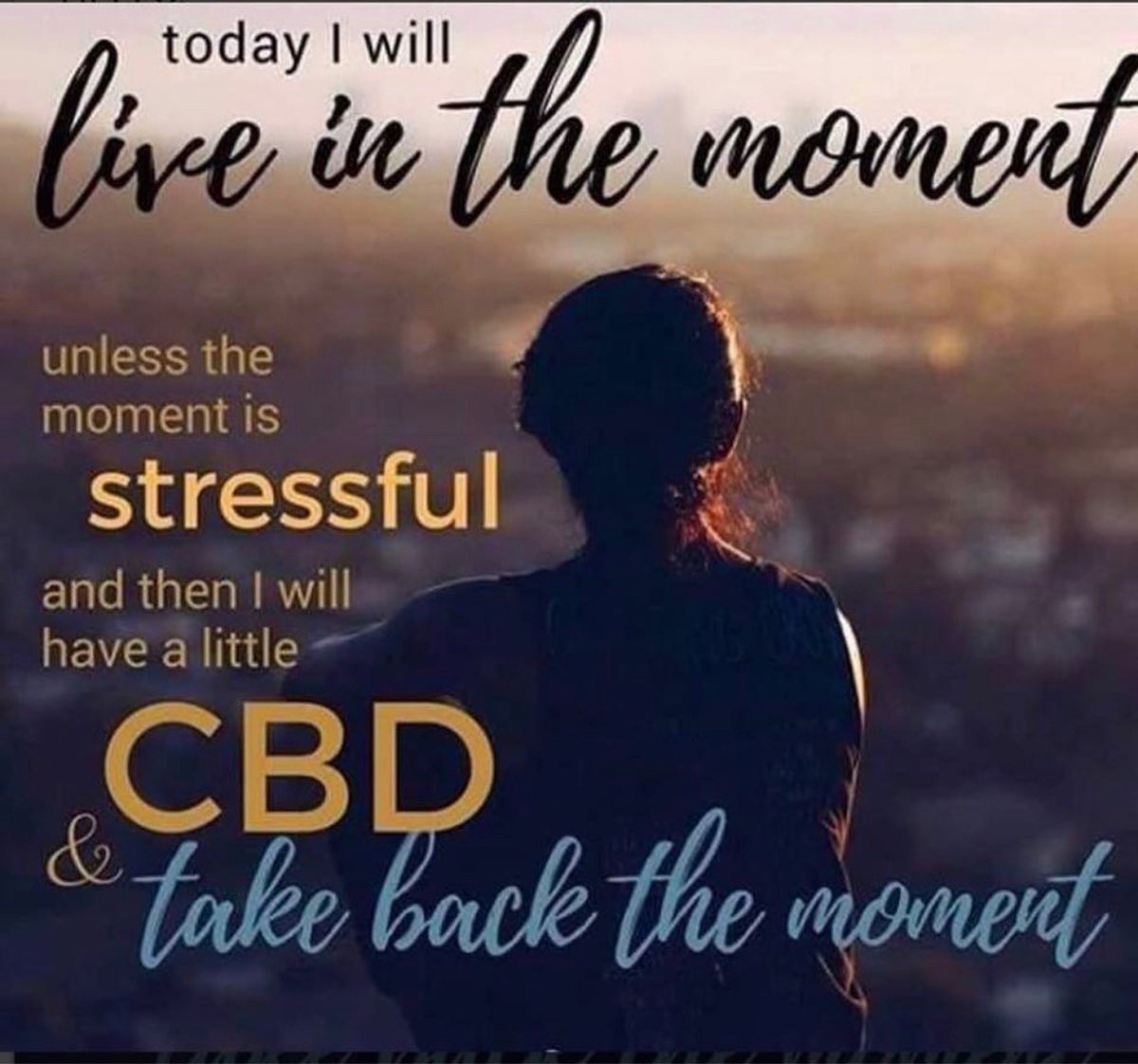 hemplotus's tweet image. 🍃Live In The Moment Pain Free 🍃

#hemp #marijuana #cbd #thc #weed #cannabis #hemplotus #cbdfacts #medicalmarijuana #edibles #highthoughts #kush #maryjane #cbdmovement #plantnotpills #cannabiscures