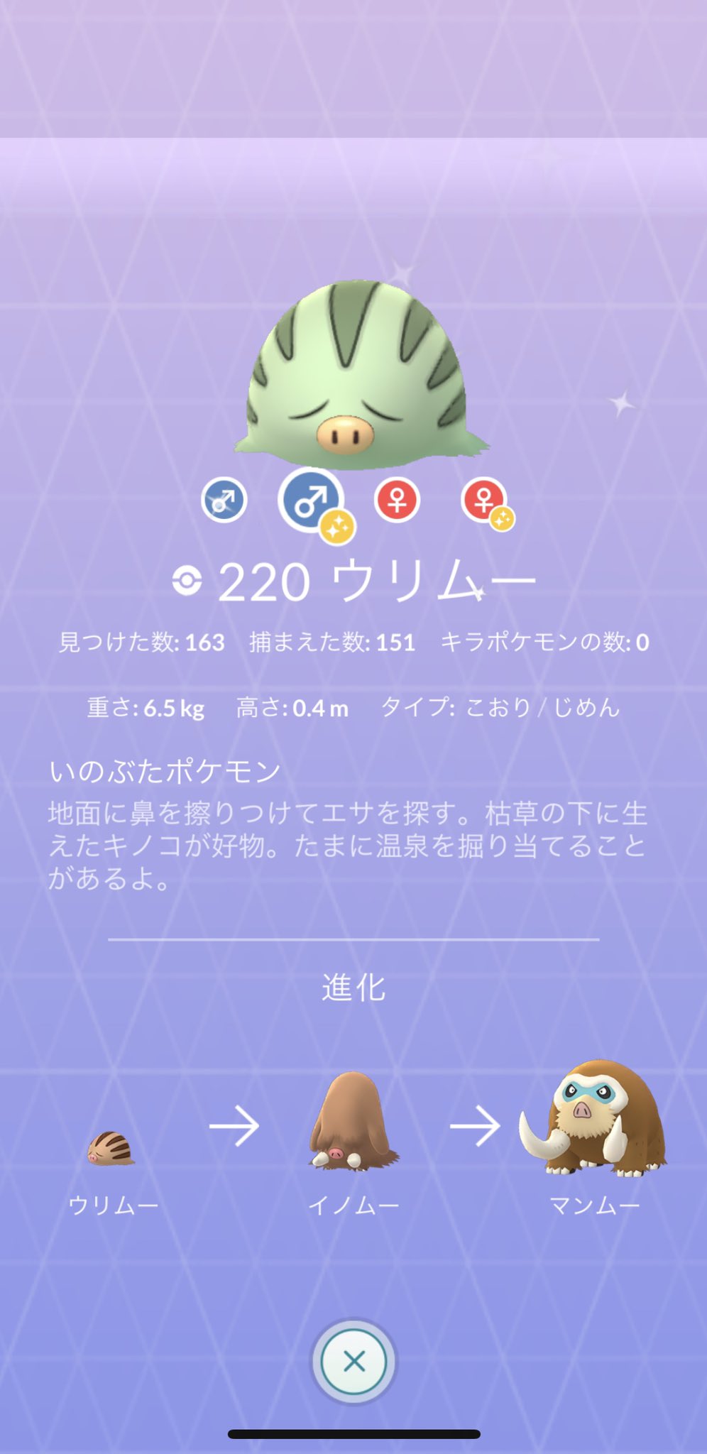 色違いマンムー Twitter Search Twitter