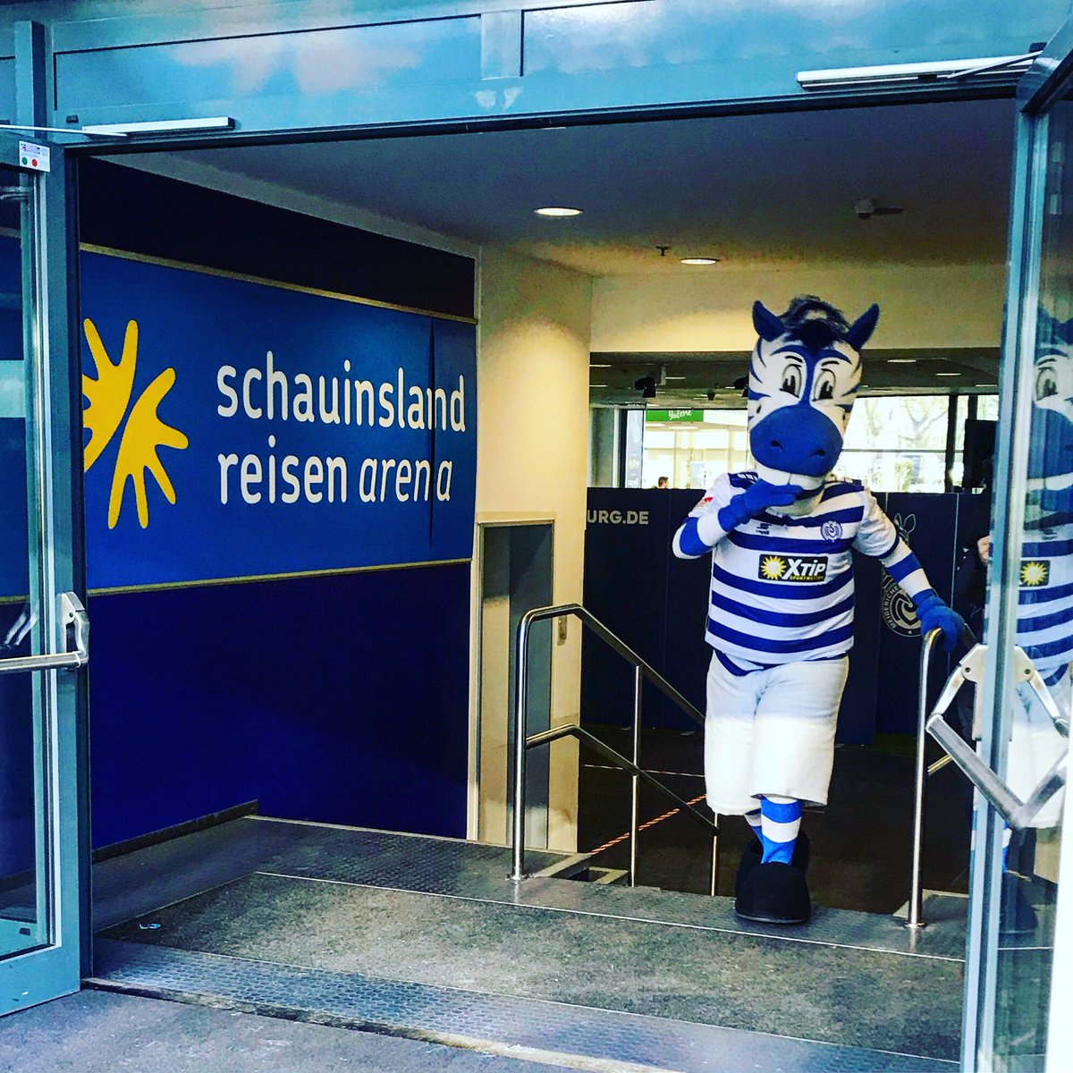 Viele Grüße von Ennatz aus Duisburg..🍀👍🏻⚽️ 🦓

Weitere Fotos 👉 instagram.com/henning_loves_…

#henninglovesfootball #bundesliga2 #msvduisburg #unionberlin #zebras #eisernunion #schauinslandreisenarena #statistik