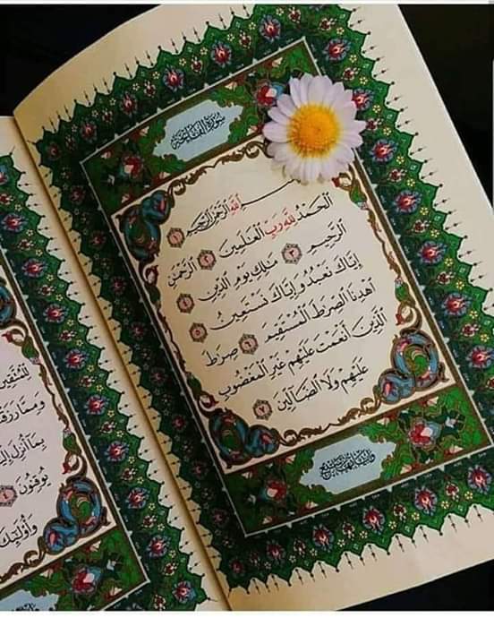 Dr noor mohammad (@drnoorm37314522) on Twitter photo 