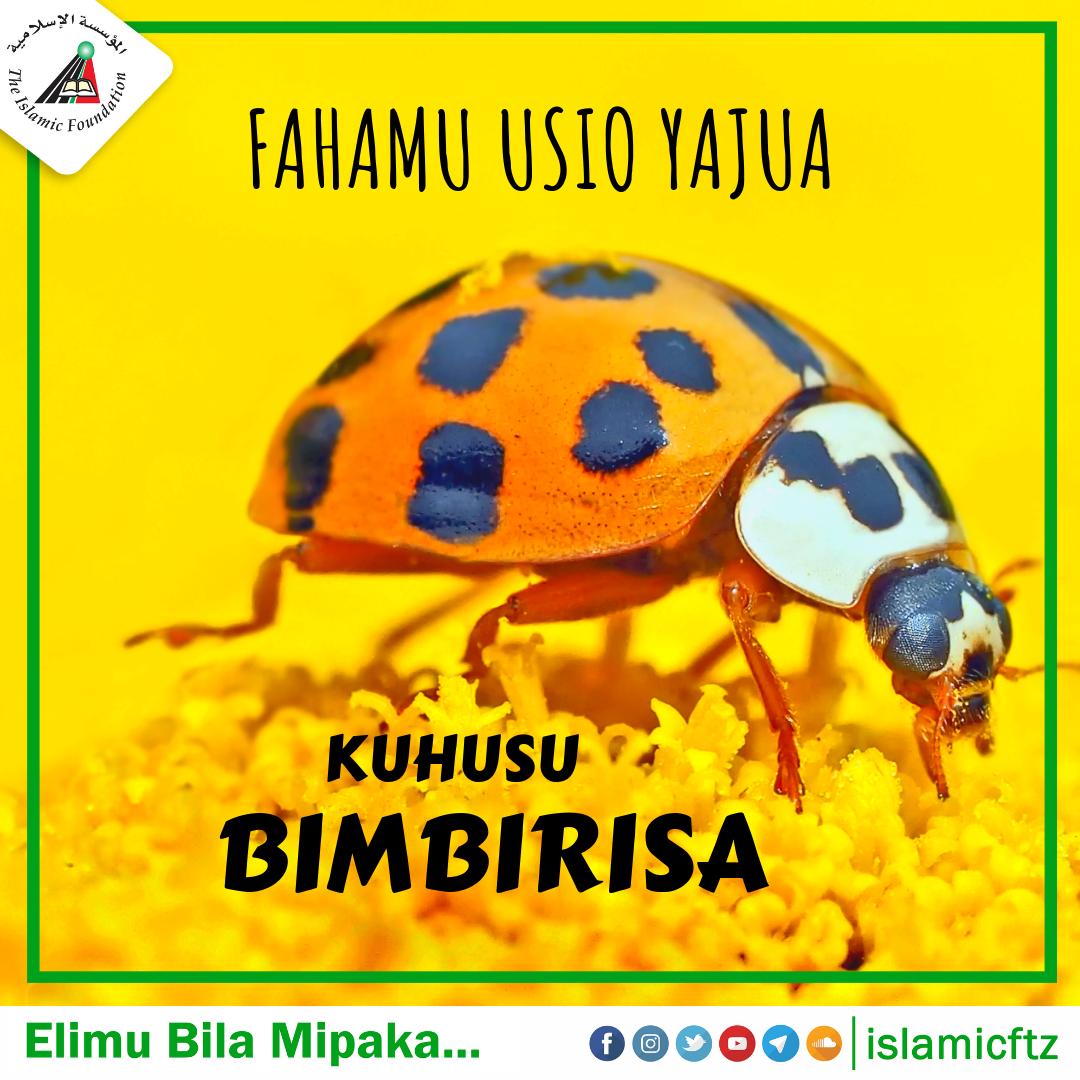 islamicftz's tweet photo. BIMBIRISA KIMBA {BEETLE}:
Bimbirisa kimba wana rangi mbalimbali za kupendeza lakini pia wapo wale ambao wana rangi inayofanana na mazingira waliyopo, yaani wanabadilika. Kama kwenye mchanga wanakuwa na rangi hiyo nk. Wazungu wanaita camouflage
_
#bimbirisakimba #mdudu #islamicftz https://t.co/dP6Ygq8F7Z