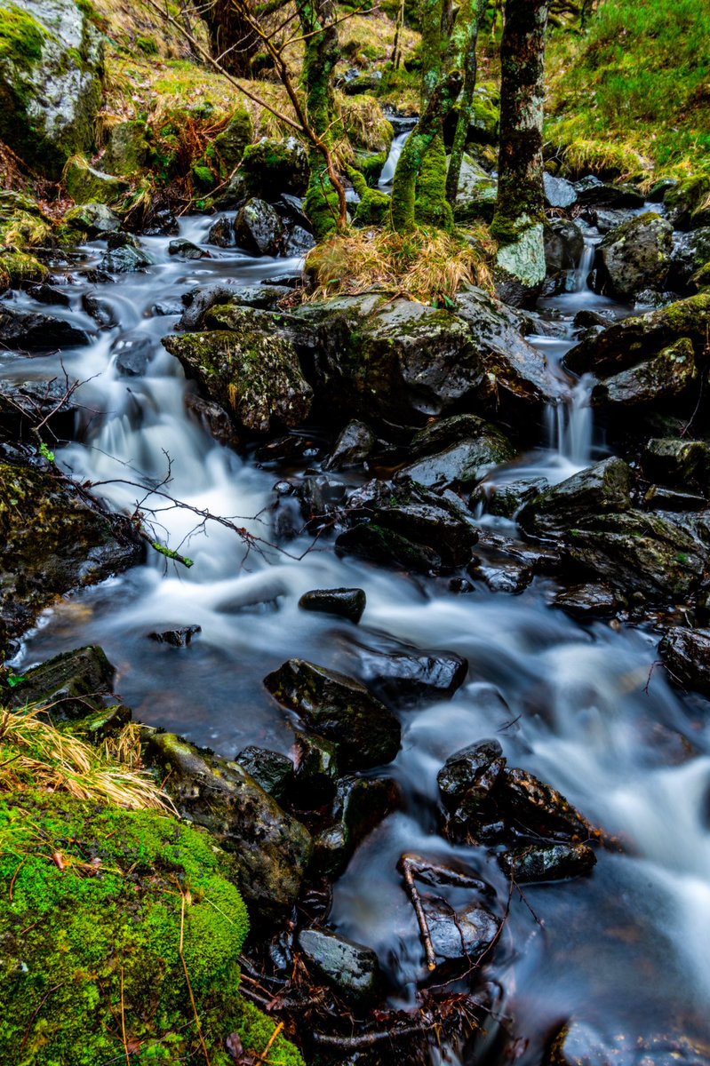 troma0's tweet photo. First weekend adventure of the year! We spent yesterday sauntering around Loch Katrine (the water runoff from the hills above is used in scotch whisky!) ⁣
This is one of many burns around the Loch, Allt na Calliche ☔️⁣
⁣
📸 Nikon D500, 10-20mm@20mm, f22, 6sec, ISO50⁣ https://t.co/Q3oG96CZRD