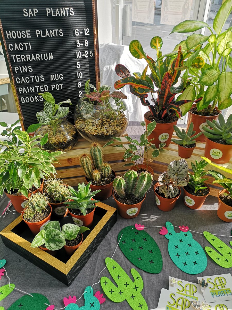 I'm at Left Lion's Clothes Swap 12-4 today!!