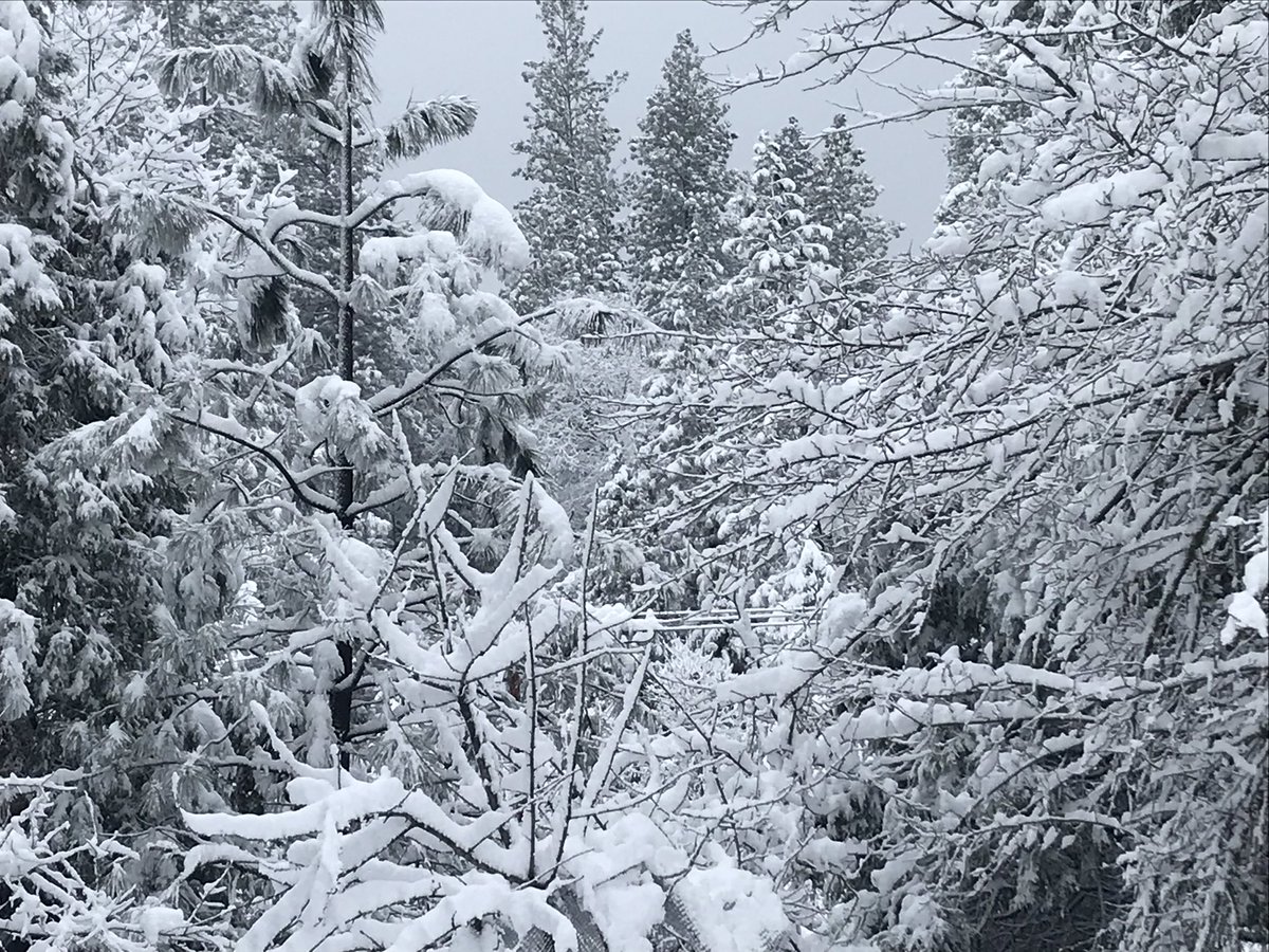 Scott London (@scottlondonthd) on Twitter photo My yard this morning. Up to 14” from the last 2 days. My yard this morning. Up to 14” from the last 2 days.
