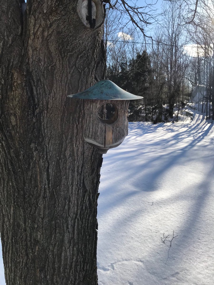 Some fresh seeds for our feathered friends #cardinals #bluejays #nuthatch #chickadee #catTV #HastingsCounty #FieldstoneFarm #familydayweekend