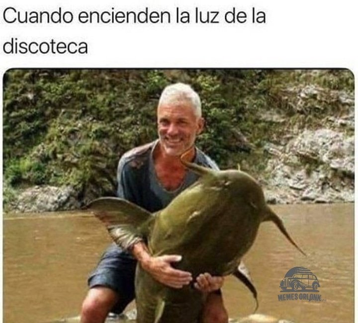 orlonk's tweet photo. jajajajaja....😅😅😅 #Siguemeytesigo #Chile #Memes #Twitter https://t.co/SKtCk8cPKn