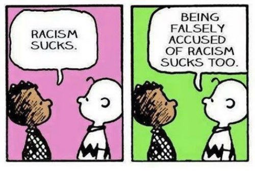 beaching it tweet media