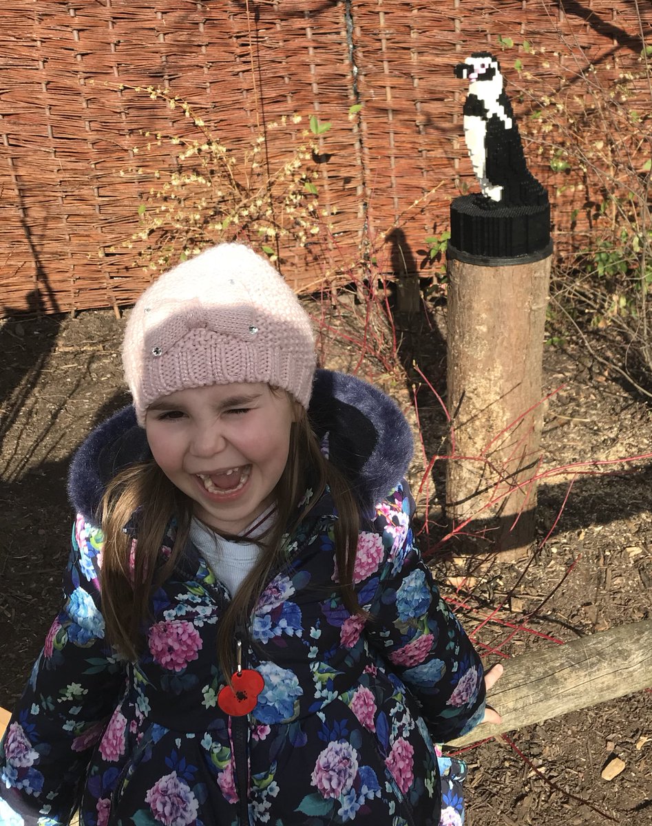 phunkfrag's tweet photo. When my 🌍wants to preserve the 🌍 I’m not standing in her way @chesterzoo @LEGO_Group #futureZooKeeper https://t.co/MCv17rRBv3
