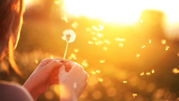 A spark of kindness starts a fire of love ❤️