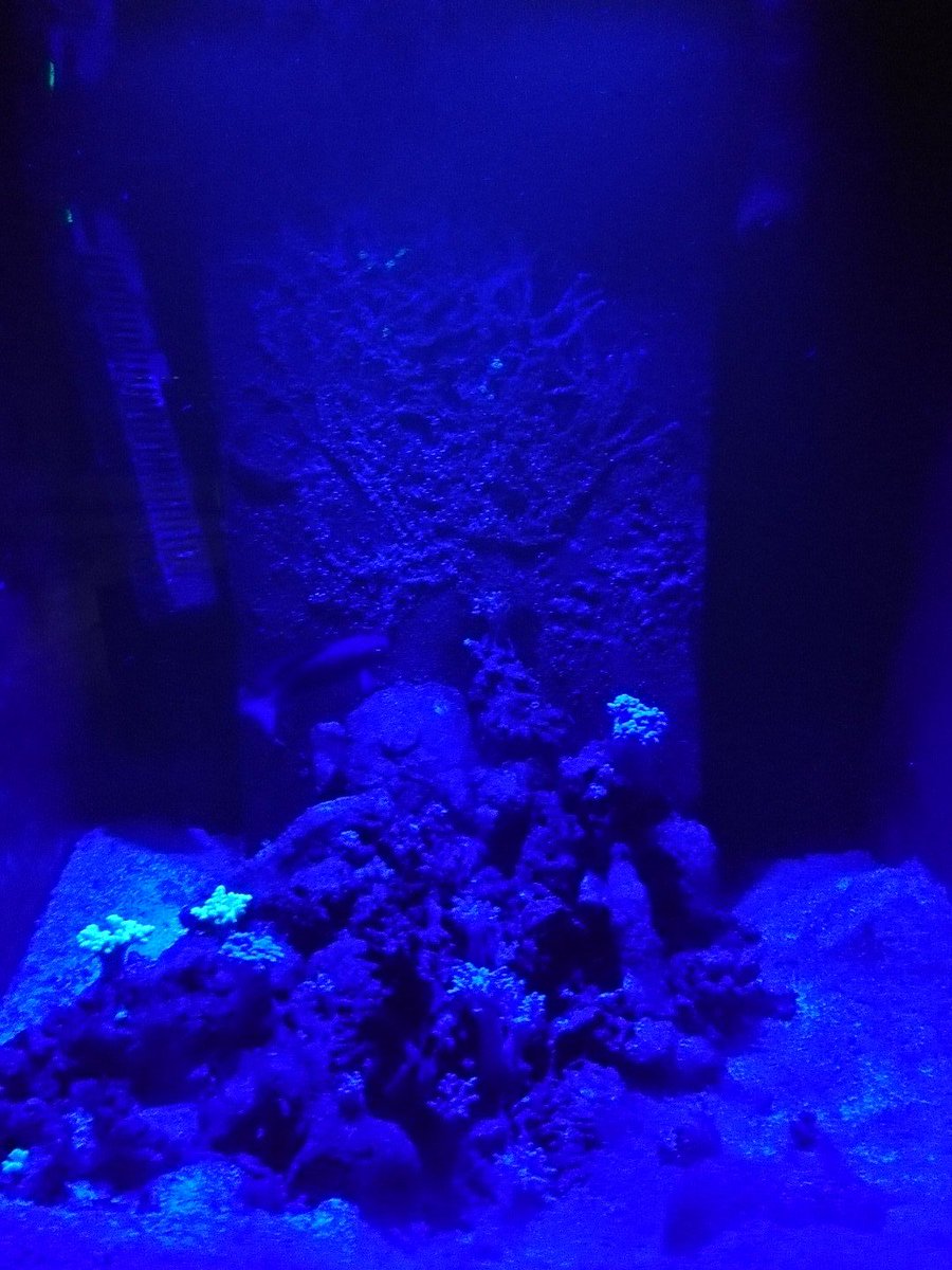 Tobias Klinge (@nano_blade1991) on Twitter photo 