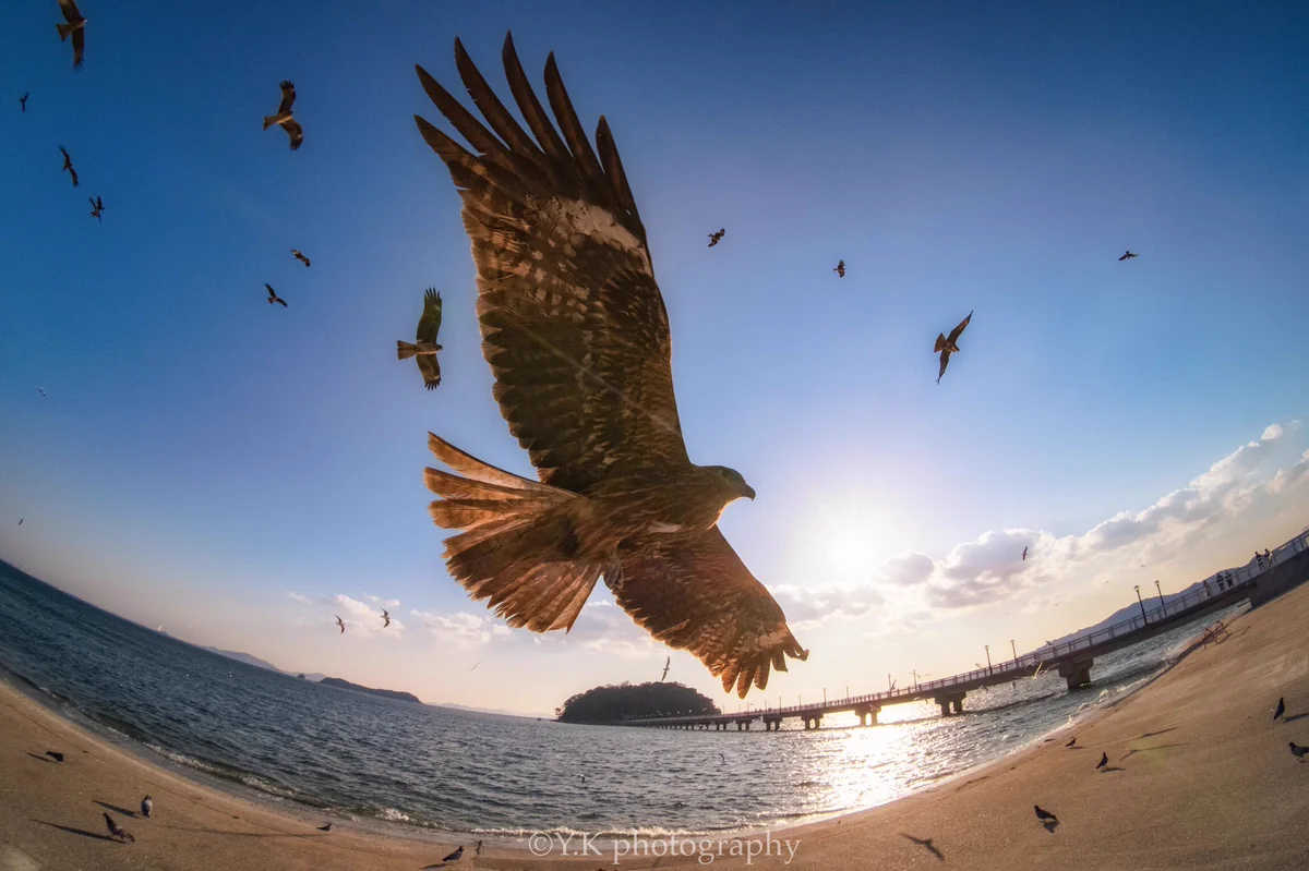 なんだこの世界観！最高にカッコいい1枚の写真が話題！