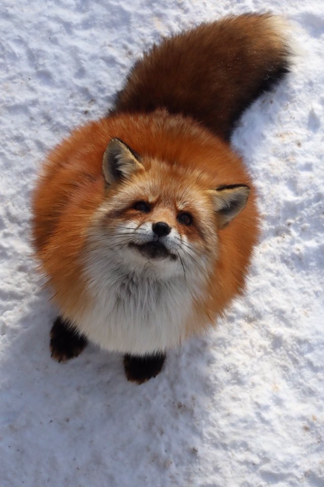 DznBa6cVsAEtnQi.jpg?format=jpg