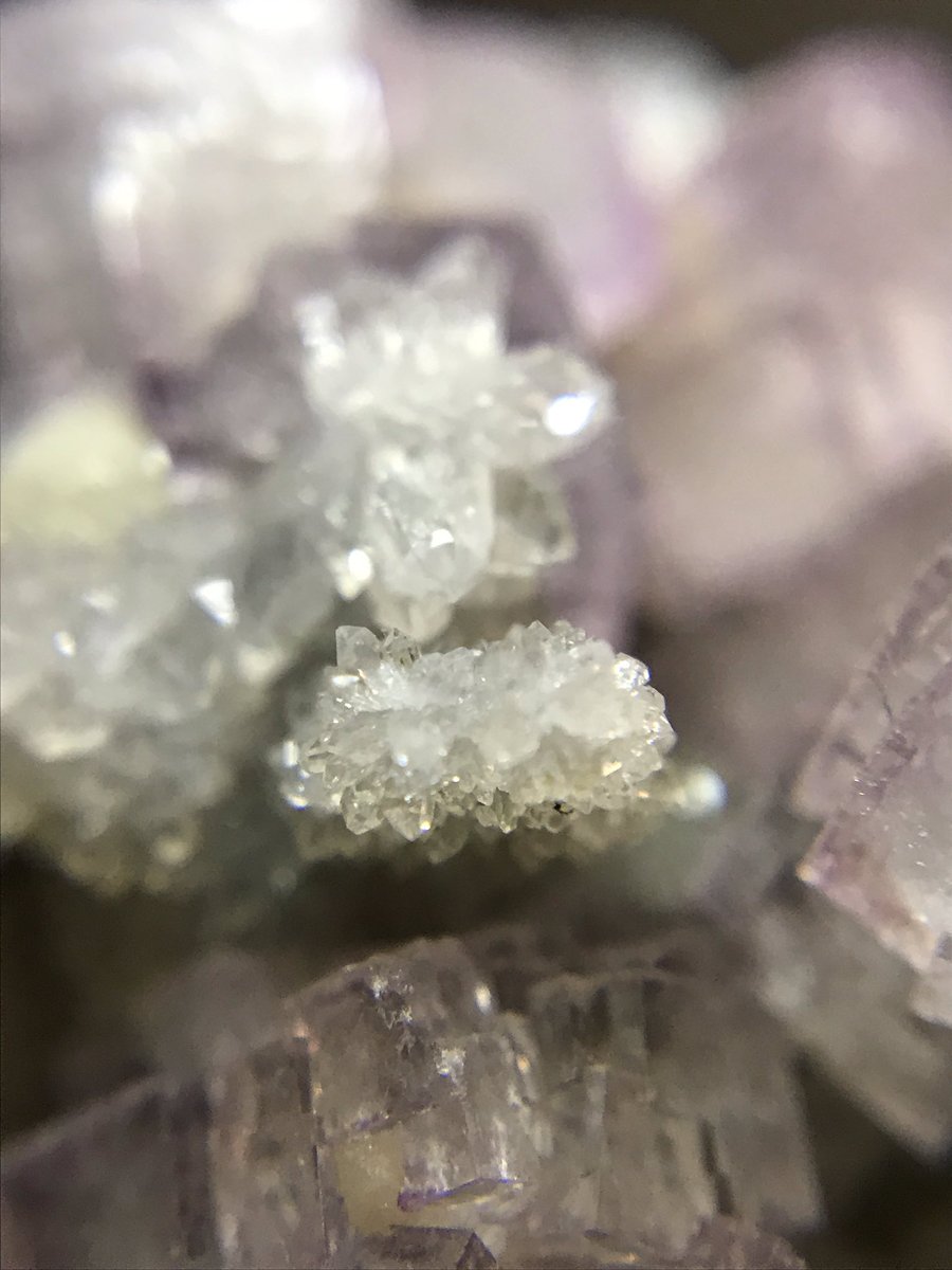 石フリマにて購入！
フローライトのサイズ感とうっすら紫な色味が気に入りました☺️