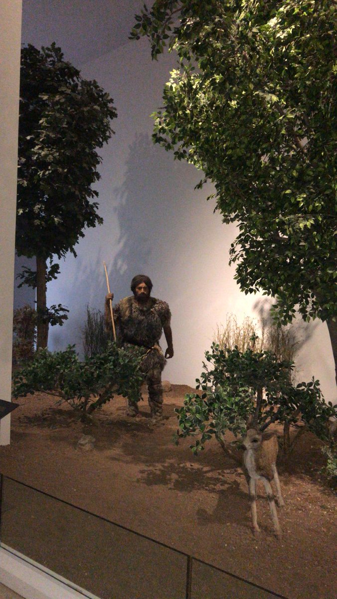 An itibariyle askimla SANLIURFA MUZESINDEYIZ