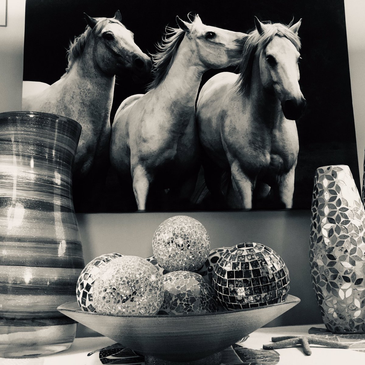 #photography #hollywood #horsepictures #beachtheme #homedecore #lights