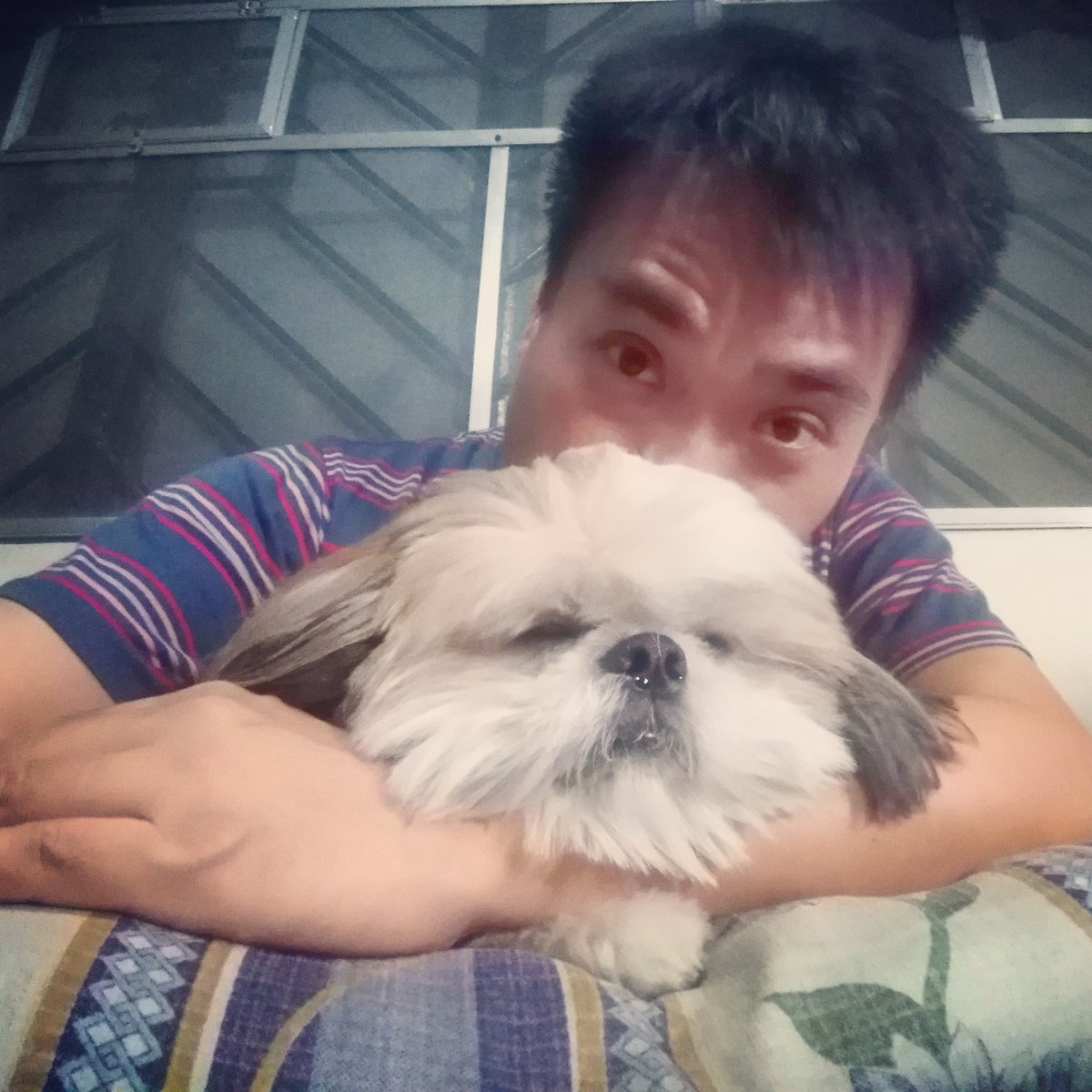 SilverHakai's tweet photo. Ngawit na kamay ko beb. Sa unan ko na nga natulog, inunan pa yung braso ko. Oh well.
#PrimoBebeb #SmolPupper #MayBisitaNaNamanAko #ExcuseMyFace #KennatMove #ImmobilizedBySleepingPupper #LoveIsAFourLeggedWord https://t.co/NbadkWP97J