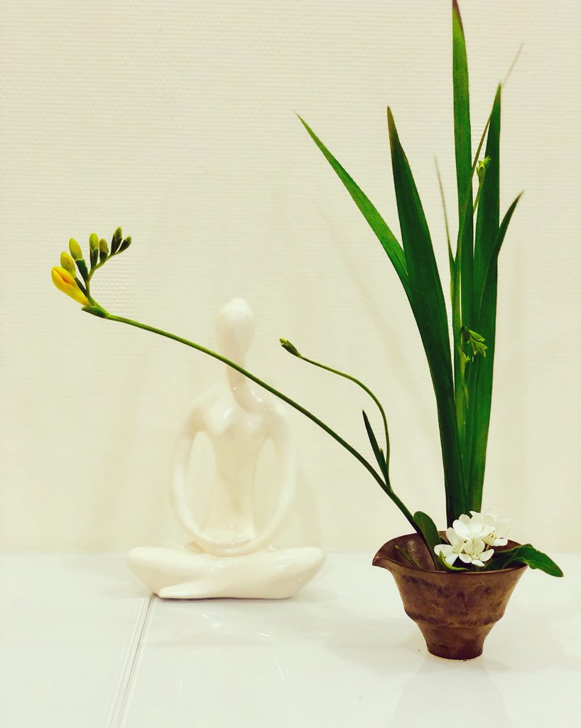 shindowitter's tweet photo. 先日購入した器で生けてみる。

#お花のある暮らし #flower https://t.co/vordW2zVHM