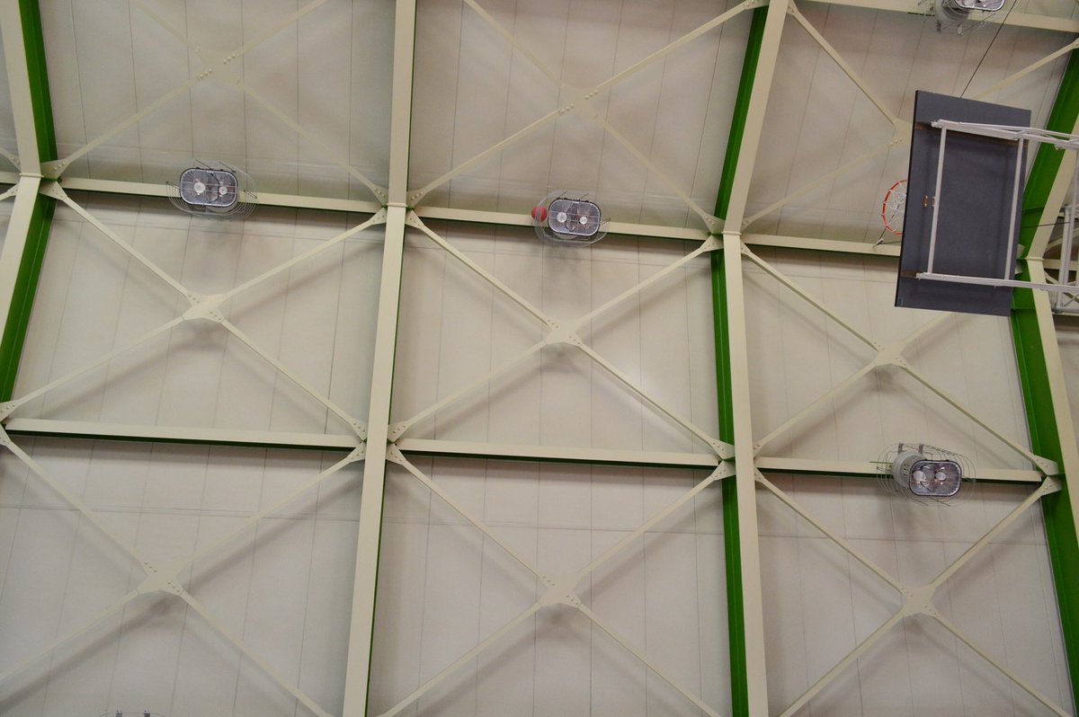 体育館あるある