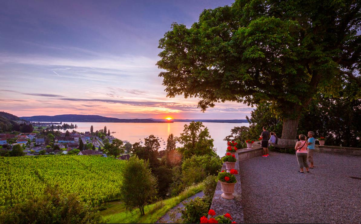 eventlokale's tweet image. Das Seminarhotel am Arenenberg ist beliebt für Seminare und Events. Geführte Rundgänge in der historischen Stätte, sowie Gourmet-Workshops und Weindegustationen runden euren Event perfekt ab. Weitere Locations am See findet ihr auf eventlokale.ch.

#arenenberg #seminar