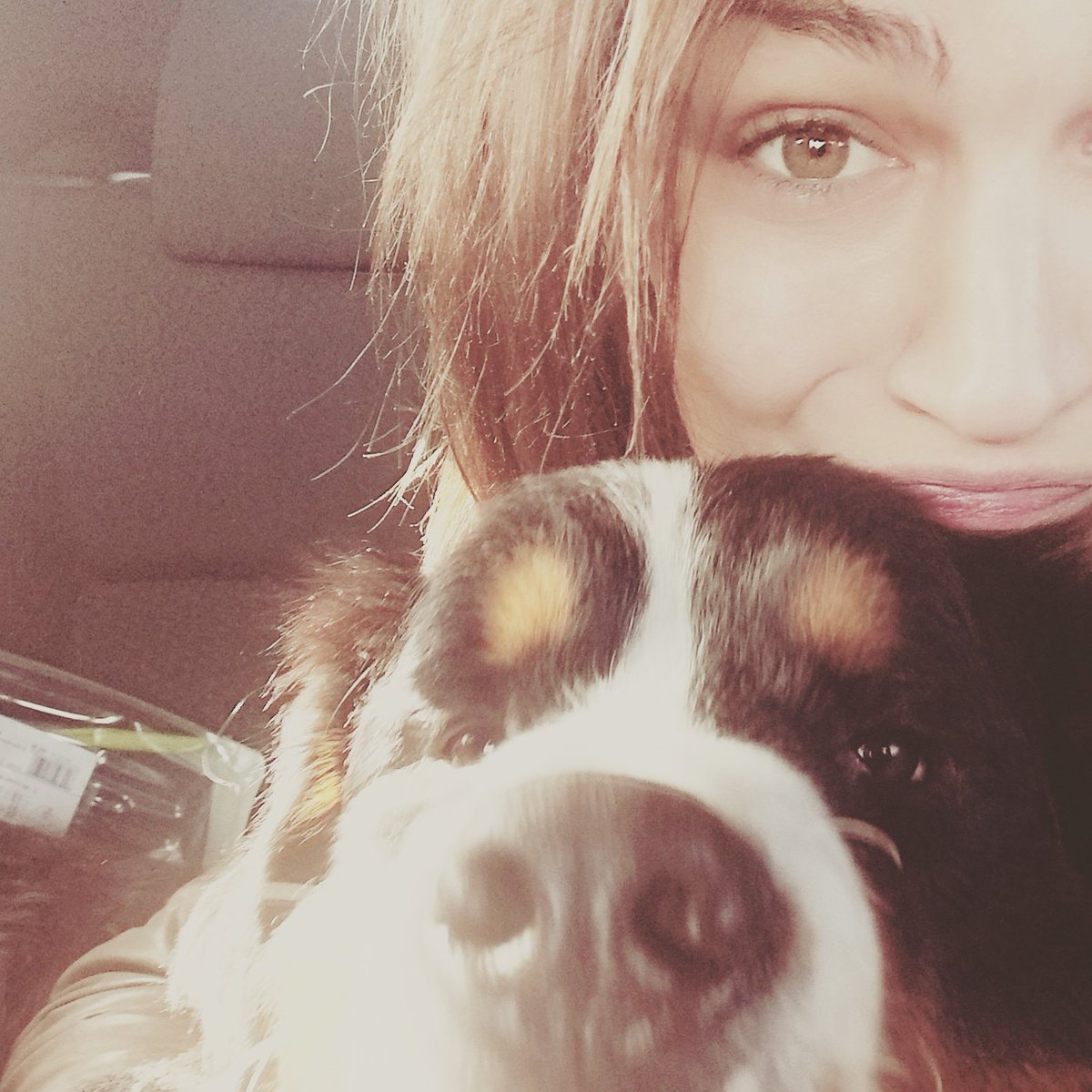 BenedettaMGam's tweet photo. Love my dog♥️ #orscarino #cagnoliniciocini #tantoammoooore https://t.co/SlKkG3eYQs