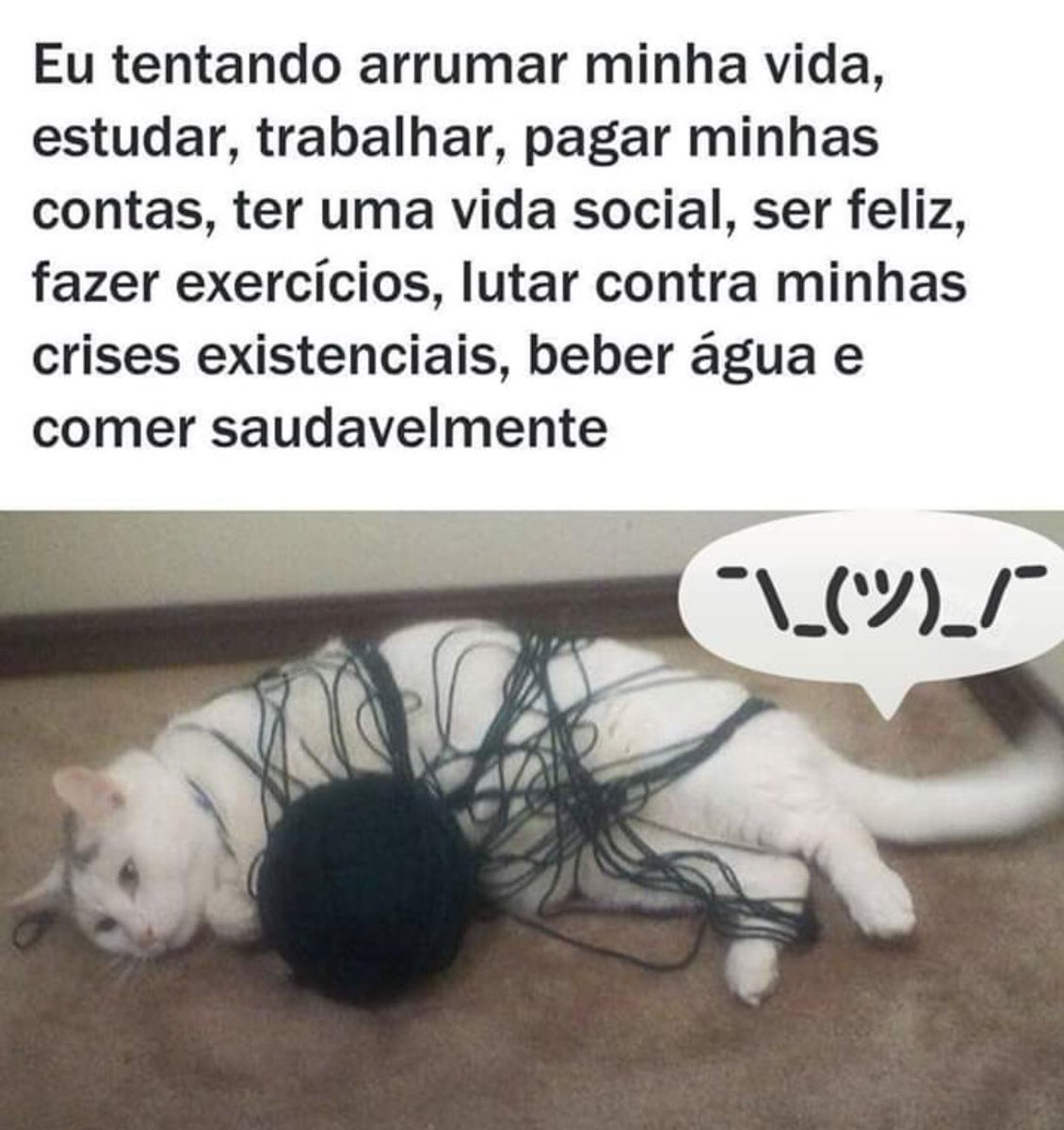 Sou Beta Lab (@monicapedroso) on Twitter photo 