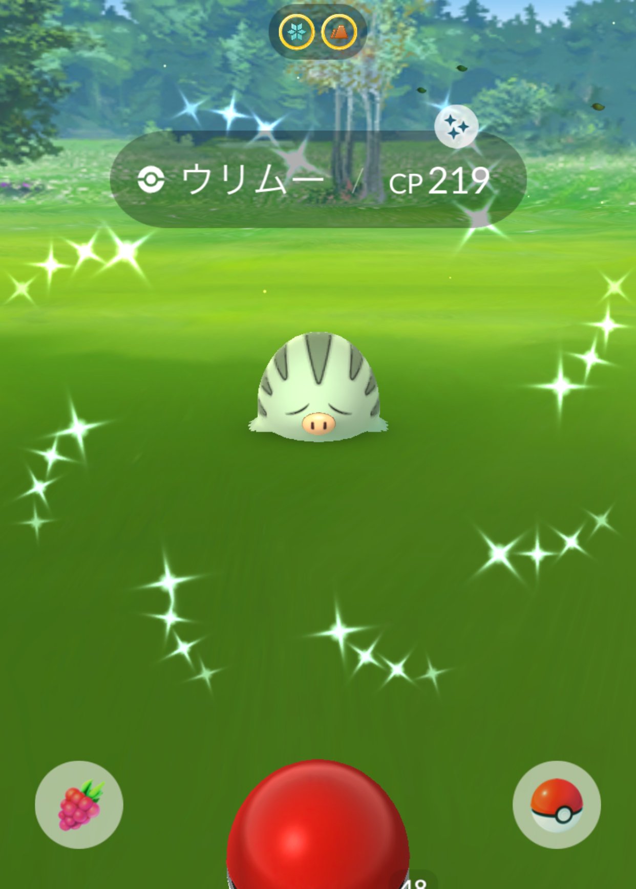 色違いマンムー Twitter Search Twitter